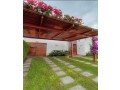casa-en-puerto-nuevo-small-1